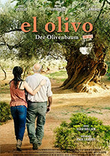 Olivo – Der Olivenbaum